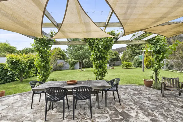 Rear patio and garden