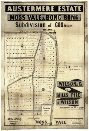 This version maps proposed lots, roads, the railway and Bong Bong platform. It is a related 600-acre plan; the reproduction does not itself show a sale date, so compare it with the dated 1891 auction poster before assuming they are identical.