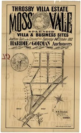 The poster advertises villa and business sites for auction on 14 October 1882, with a special train, free passes and luncheon. It shows the railway, Whites Creek and proposed streets and lots. The plan records the offering, not completed purchases.