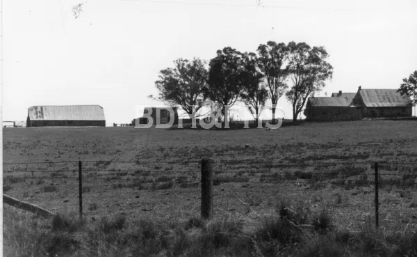Old shearing sheds on Wombeyan Caves Road, High Range, around 1982.