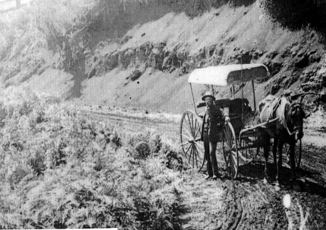 Horse-drawn mail cart on a rural road, captioned Robertson to Bowral Mail.