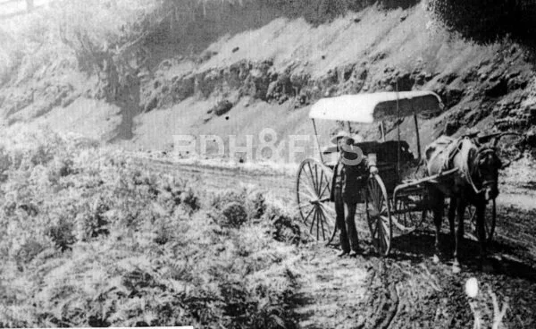 Mail contractor William Gay at Devil’s Elbow, East Kangaloon, around 1886.