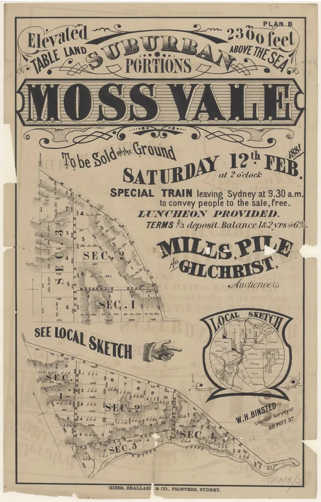 This poster advertises a 12 February 1881 auction of numbered suburban portions, with a free special train from Sydney and luncheon. It shows roads, Whites Creek and a locality sketch. The plan records a proposed offering, not completed sales.