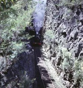 A steam train passing through the Hilltop rail cutting in 1967.