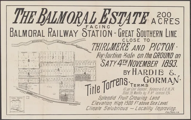 The poster advertises 200 acres facing Balmoral station for auction on 4 November 1893. It shows numbered blocks, named streets, the railway and a ten per cent deposit with instalments. The advertised offering does not establish that each lot sold or was built upon.