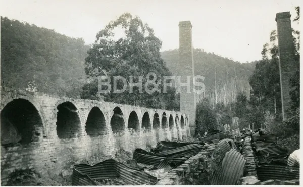 Retorts and chimney stacks at Joadja Creek in 1934.