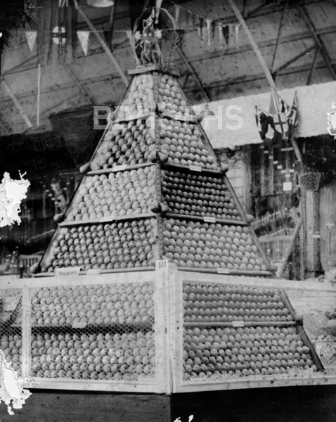 Tallong's 1940 prize-winning pear-pyramid display at the Royal Agricultural Society competition in Sydney.