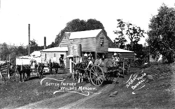 Horse-drawn milk carts and people outside the Wildes Meadow butter factory.