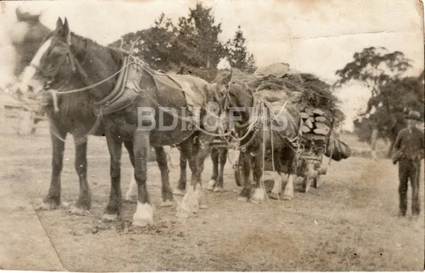 Jimmy Smith hauling timber between Canyonleigh and Moss Vale.