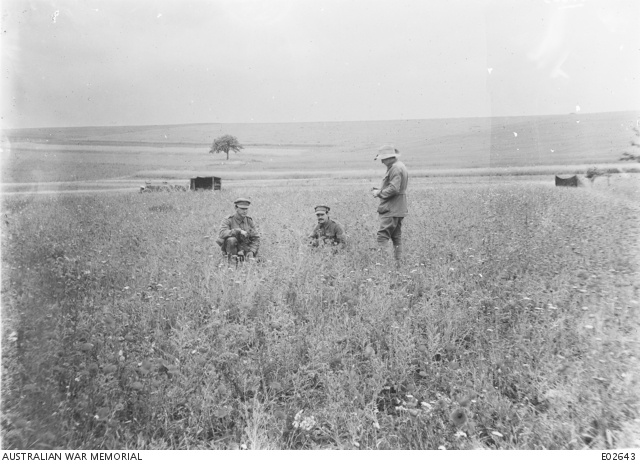 Australian soldiers in a field of flowers at Allonville