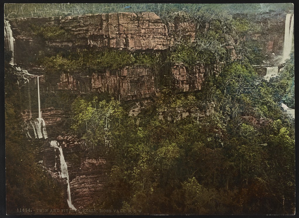 Historic colour photochrom print of cliffs, forest and waterfalls labelled Twin and Fitzroy Falls.